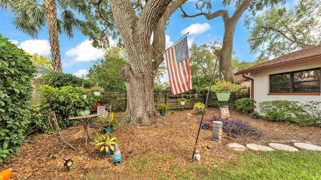 527 Duchess Dr, Lakeland, FL 33803 - view of yard