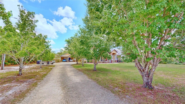540 Phillips Rd, Sebring, FL 33875 - obstructed view of property with a front lawn and driveway