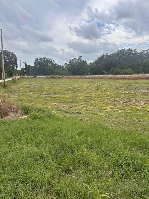1100 Eloise Loop Rd, Winter Haven, FL 33884 - photo 6