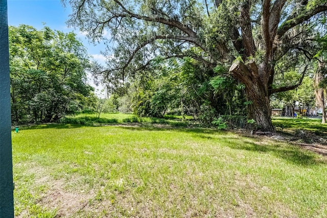 2052 W Elliott St, Lakeland, FL 33805 - view of green lawn