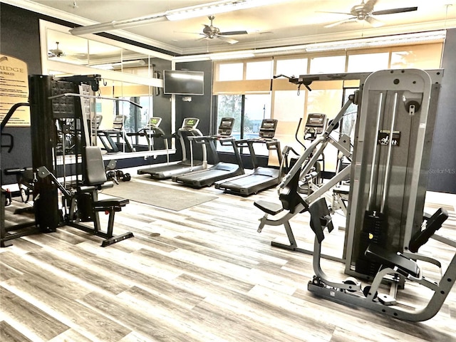 505 Adams View Ln, Auburndale, FL 33823 - gym with crown molding, ceiling fan, and wood finished floors