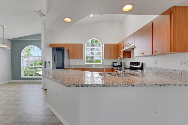 362 Lake Daisy Cir, Winter Haven, FL 33884 - kitchen with vaulted ceiling, a peninsula, under cabinet range hood, a sink, and light stone counters