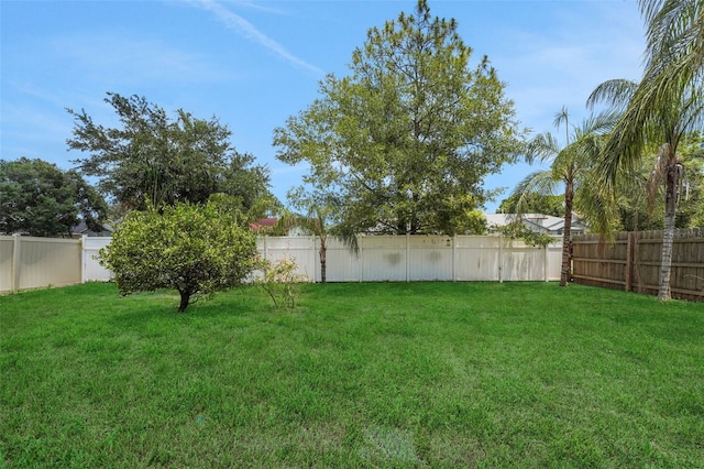 362 Lake Daisy Cir, Winter Haven, FL 33884 - view of yard