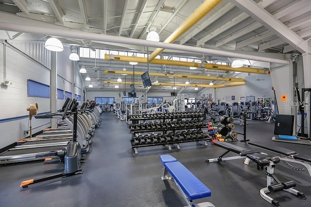 1735 Council Dr, Sun City Center, FL 33573 - view of exercise room