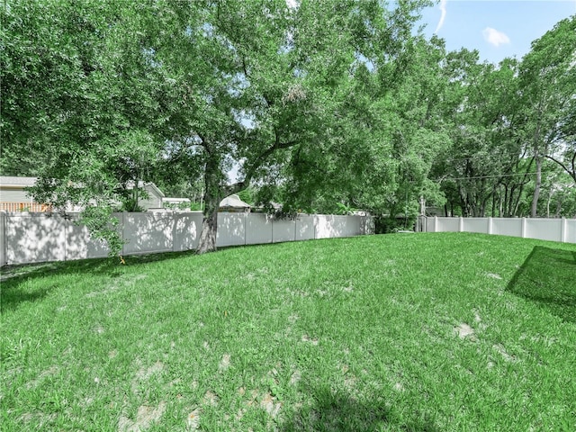7714 Chase Rd, Lakeland, FL 33810 - view of yard