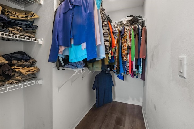 1256 Center St, Dundee, FL 33838 - spacious closet featuring wood finished floors