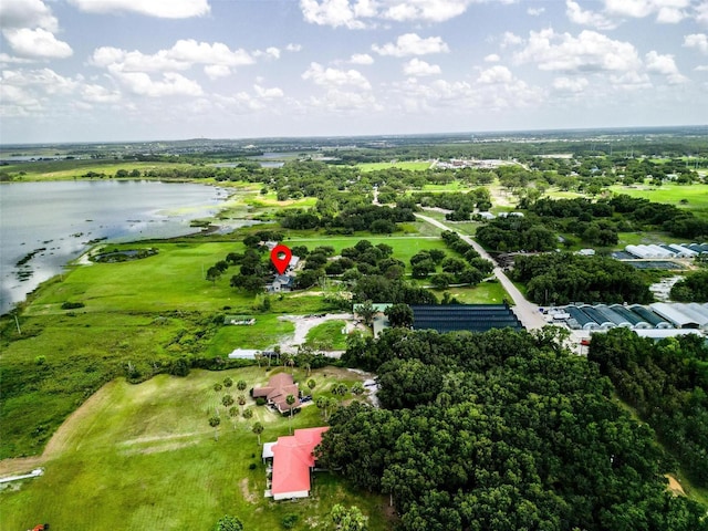 1256 Center St, Dundee, FL 33838 - view of property location with a large body of water and a tree filled landscape