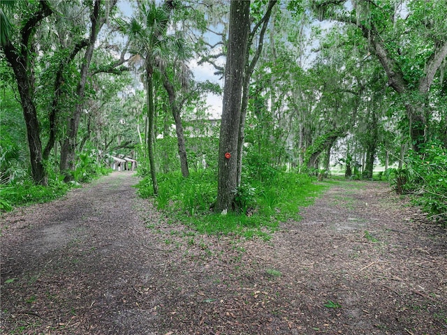 2530 Arbuckle Shores Rd, Frostproof, FL 33843 - view of street