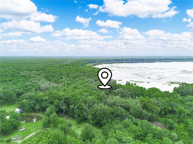 2530 Arbuckle Shores Rd, Frostproof, FL 33843 - aerial view of a heavily wooded area and a large body of water