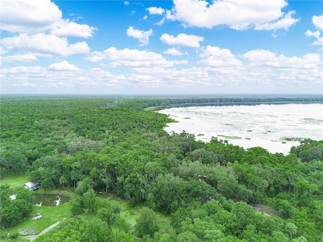 2530 Arbuckle Shores Rd, Frostproof, FL 33843 - water view featuring a forest