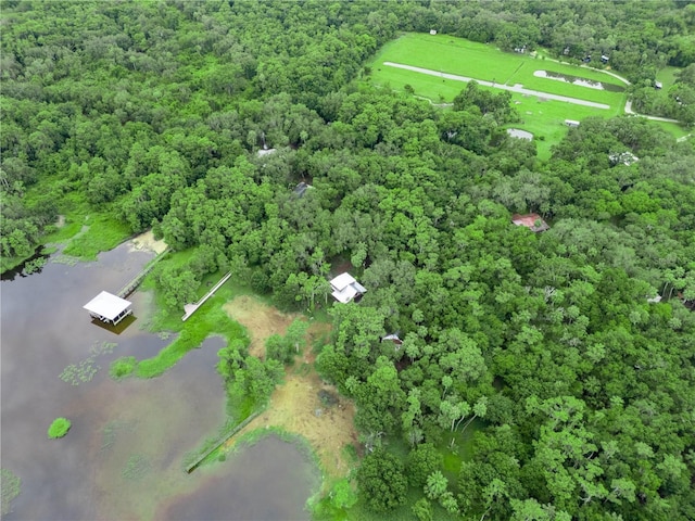 2530 Arbuckle Shores Rd, Frostproof, FL 33843 - aerial overview of property's location featuring a nearby body of water and a heavily wooded area