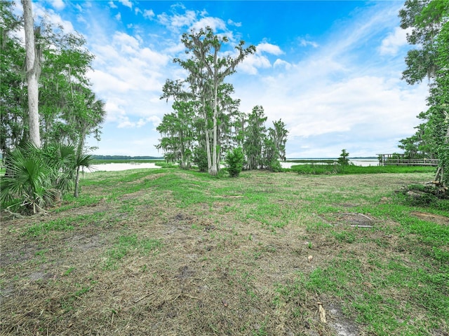 2530 Arbuckle Shores Rd, Frostproof, FL 33843 - view of yard featuring a water view