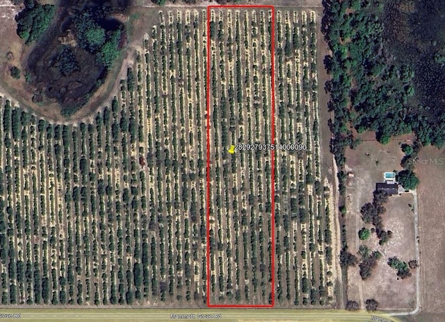 Mammoth Grove Rd, Lake Wales, FL 33898