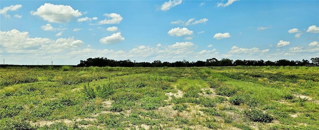 Mammoth Grove Rd, Lake Wales, FL 33898