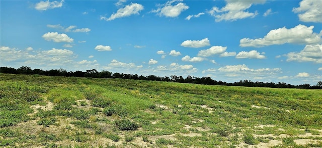 Mammoth Grove Rd, Lake Wales, FL 33898
