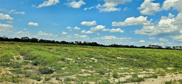 Mammoth Grove Rd, Lake Wales, FL 33898