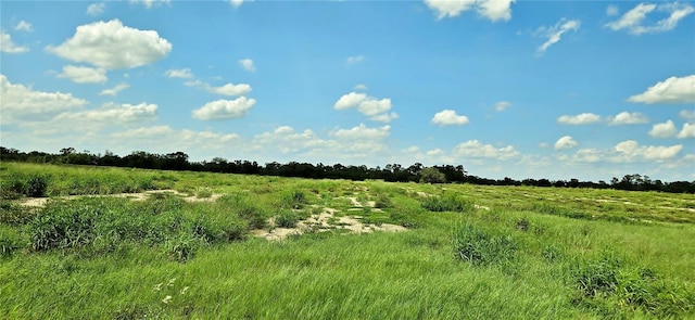 Mammoth Grove Rd, Lake Wales, FL 33898