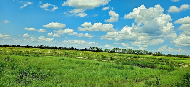 Mammoth Grove Rd, Lake Wales, FL 33898