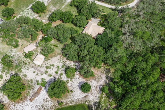 1273 Scrub Jay Trl, Frostproof, FL 33843 - aerial overview of property's location