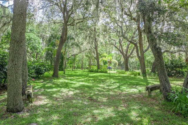1273 Scrub Jay Trl, Frostproof, FL 33843 - view of green lawn