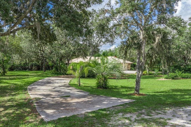 1273 Scrub Jay Trl, Frostproof, FL 33843 - surrounding community with a yard