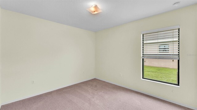 1765 Kingsmill Dr, Bartow, FL 33830 - photo 36