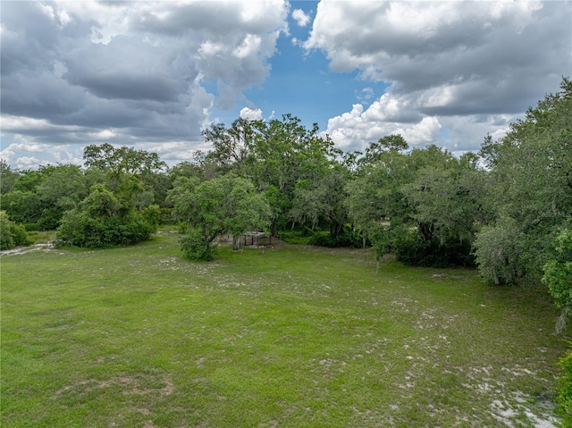 3985 Mammoth Grove Rd, Lake Wales, FL 33898 - photo 81