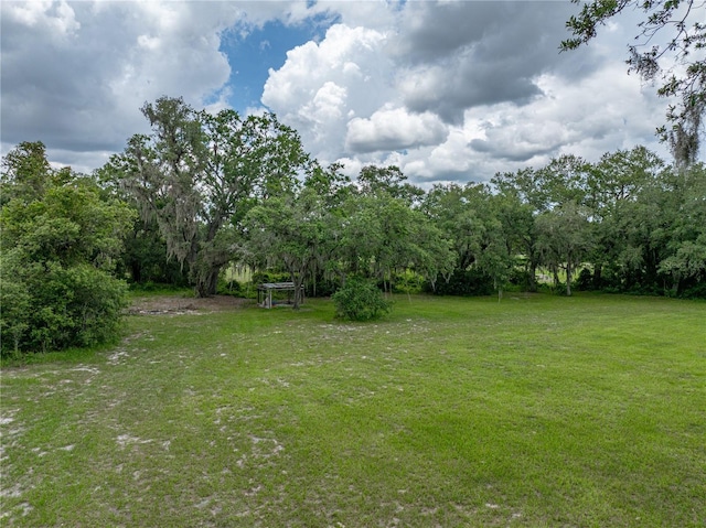 3985 Mammoth Grove Rd, Lake Wales, FL 33898 - photo 84