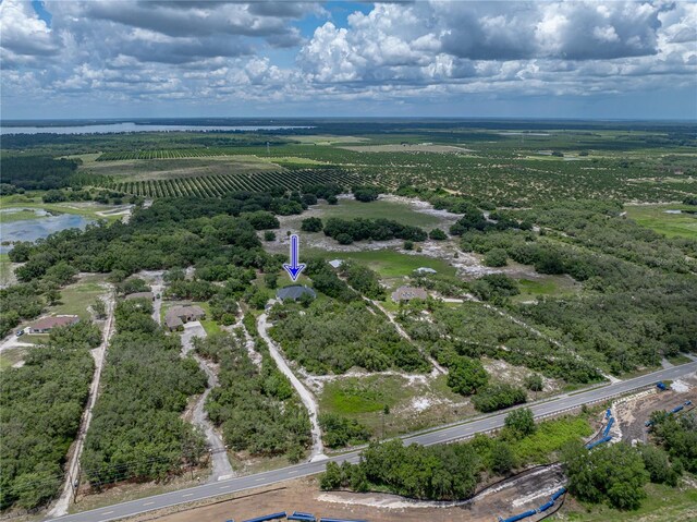 3985 Mammoth Grove Rd, Lake Wales, FL 33898 - photo 89