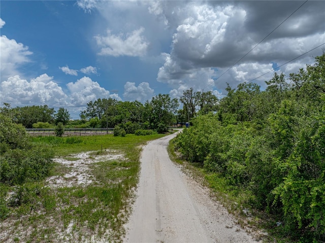 3985 Mammoth Grove Rd, Lake Wales, FL 33898 - photo 92