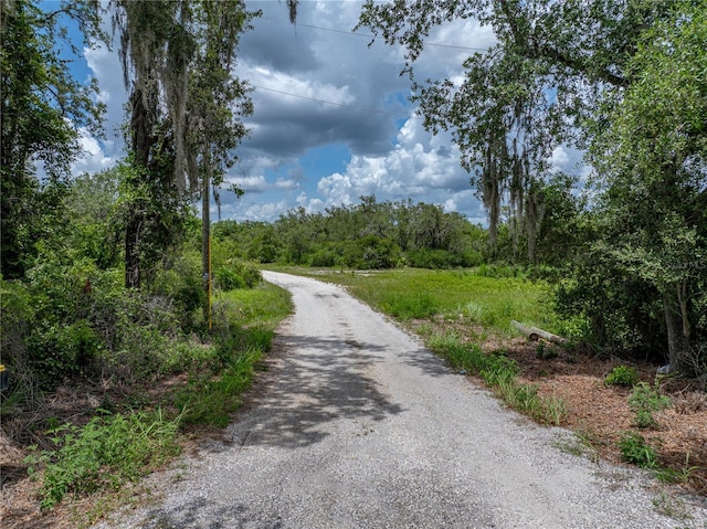 3985 Mammoth Grove Rd, Lake Wales, FL 33898 - photo 93
