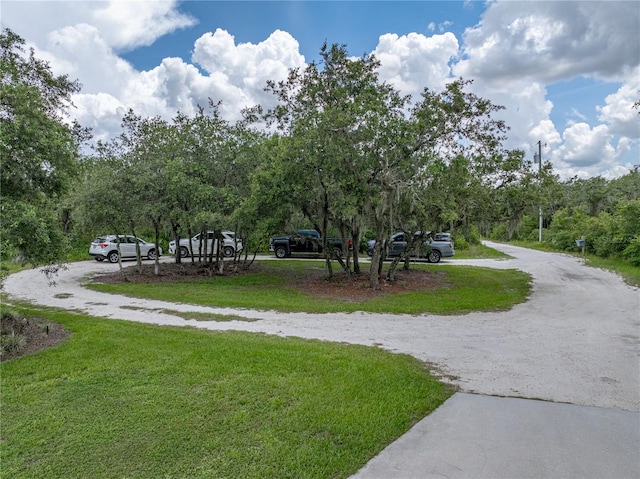 3985 Mammoth Grove Rd, Lake Wales, FL 33898 - photo 94