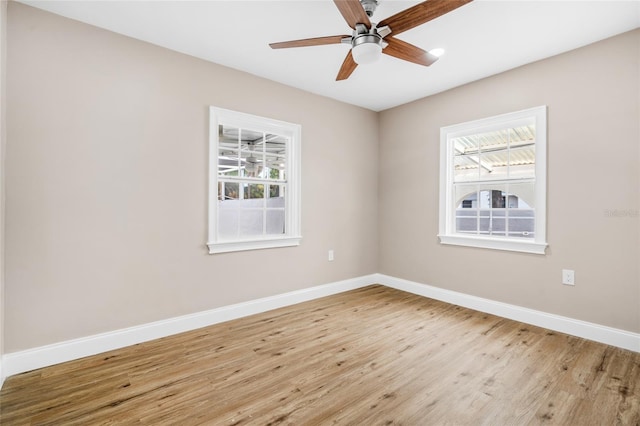 3620 E Tampa Cir, Tampa, FL 33629 - photo 16