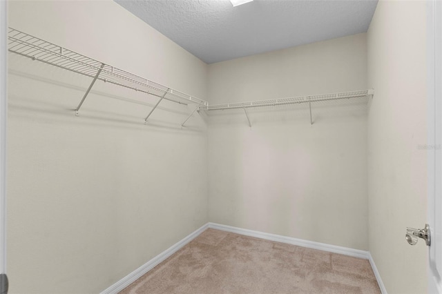 7247 Oakmoss Loop, Davenport, FL 33837 - walk in closet featuring light colored carpet
