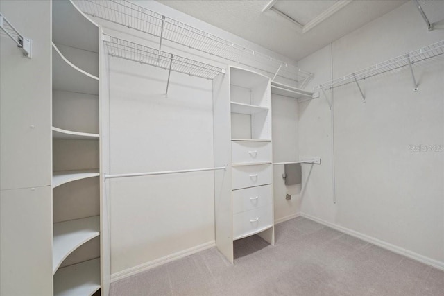 4254 Berwick Dr, Lake Wales, FL 33859 - spacious closet featuring carpet and attic access