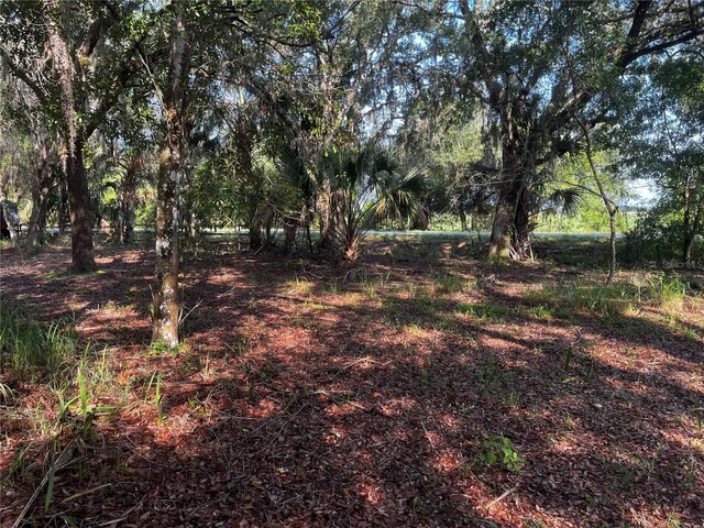 0 Camp Mack Rd, Lake Wales, FL 33898 - photo 1