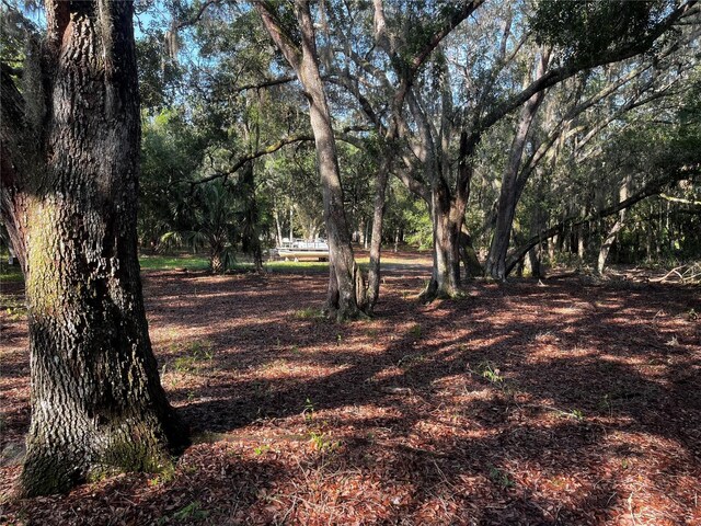 0 Camp Mack Rd, Lake Wales, FL 33898 - photo 5
