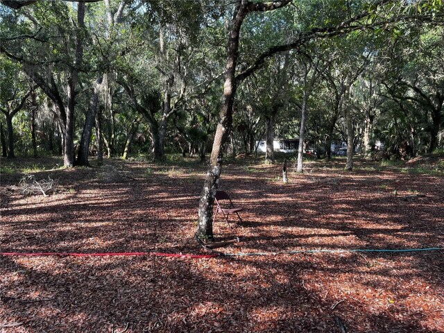 0 Camp Mack Rd, Lake Wales, FL 33898 - photo 6