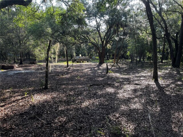 0 Camp Mack Rd, Lake Wales, FL 33898 - photo 7