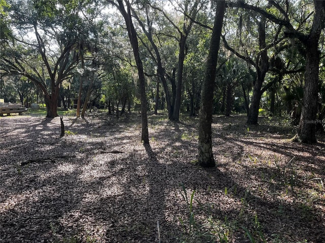0 Camp Mack Rd, Lake Wales, FL 33898 - photo 8