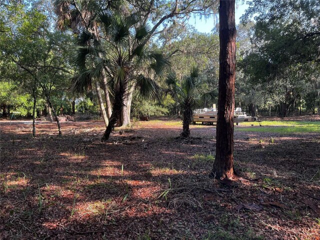 0 Camp Mack Rd, Lake Wales, FL 33898 - photo 9