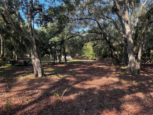 0 Camp Mack Rd, Lake Wales, FL 33898 - photo 4