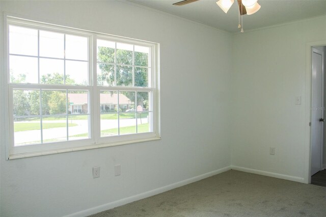 1476 Ave F NE, Winter Haven, FL 33881 - photo 23