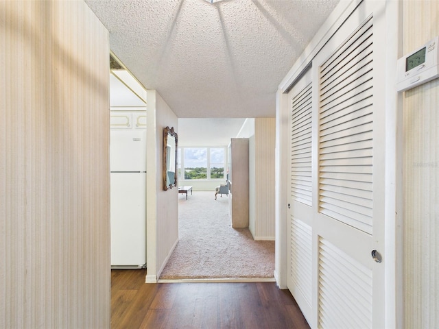 700 Mirror Ter NW Unit 702, Winter Haven, FL 33881 - corridor with dark wood-type flooring and a textured ceiling