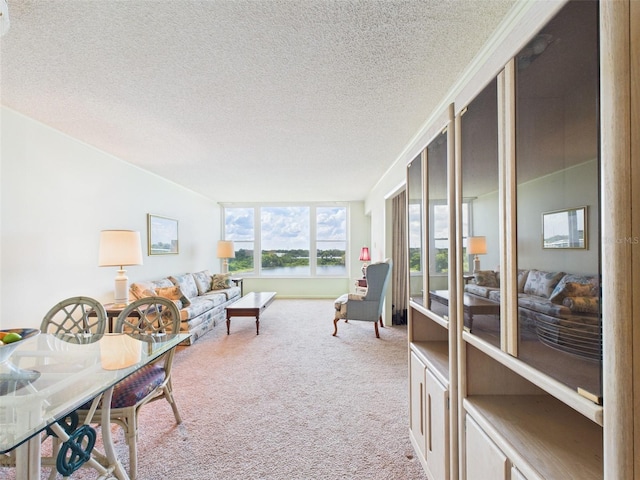 700 Mirror Ter NW Unit 702, Winter Haven, FL 33881 - living area featuring carpet flooring, a textured ceiling, and a water view