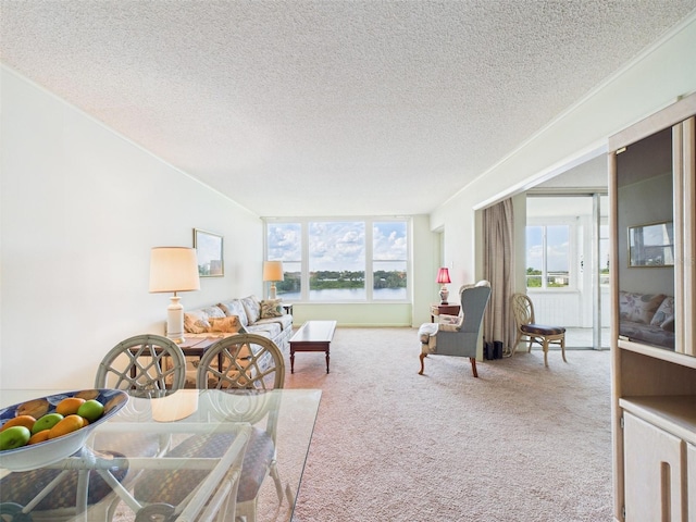 700 Mirror Ter NW Unit 702, Winter Haven, FL 33881 - living area featuring plenty of natural light, carpet floors, a textured ceiling, and a water view