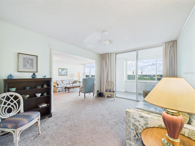 700 Mirror Ter NW Unit 702, Winter Haven, FL 33881 - carpeted living room with plenty of natural light