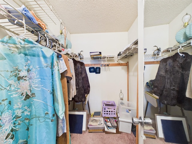 700 Mirror Ter NW Unit 702, Winter Haven, FL 33881 - spacious closet with carpet floors
