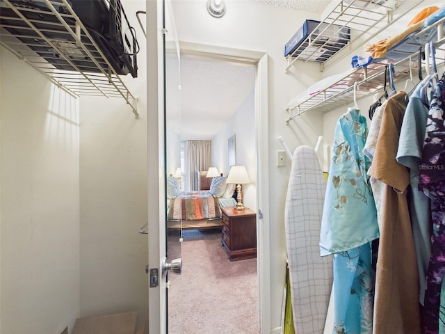 700 Mirror Ter NW Unit 702, Winter Haven, FL 33881 - spacious closet featuring carpet