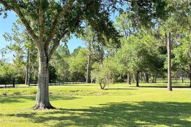 1976 Holy Cow Rd, Polk City, FL 33868 - photo 37